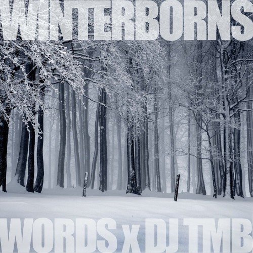 VA - Words x DJ TMb - The Winterborns (2021) (MP3)
