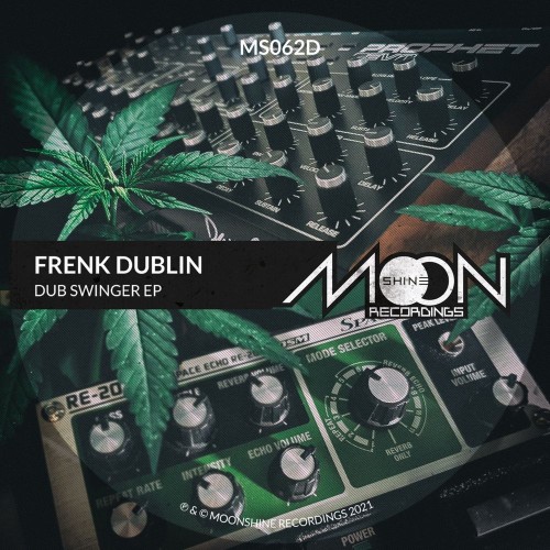 Frenk Dublin - Dub Swinger EP (2021)