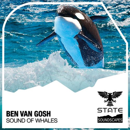 VA - Ben van Gosh - Sound of Whales (2022) (MP3)