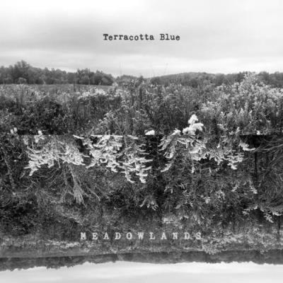 VA - Terracotta Blue - Meadowlands (2021) (MP3)