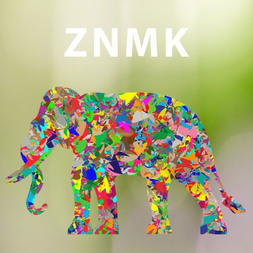 VA - ZNMK - Distance (2022) (MP3)