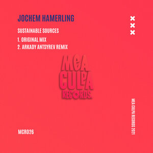 Jochem Hamerling - Sustainable Sources (2021)