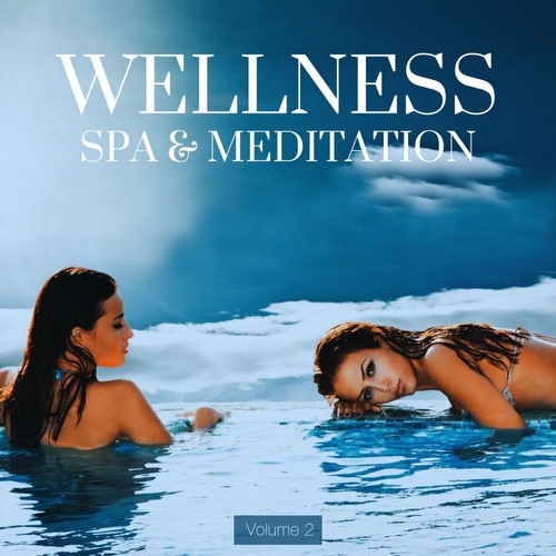 VA - Wellness, Spa & Meditation, Vol. 2 (2022)