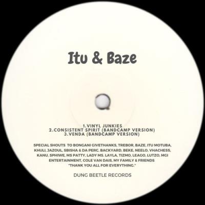 VA - Itu, Baze - Vinyl Junkies (2022) (MP3)