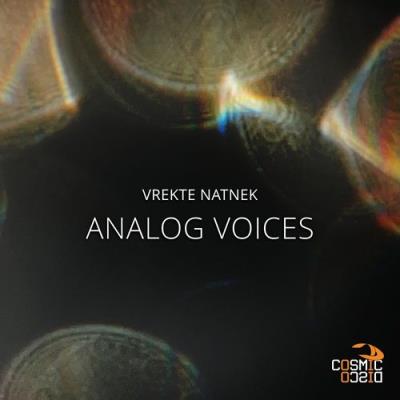 VA - Vrekte Natnek - Analog Voices (2022) (MP3)