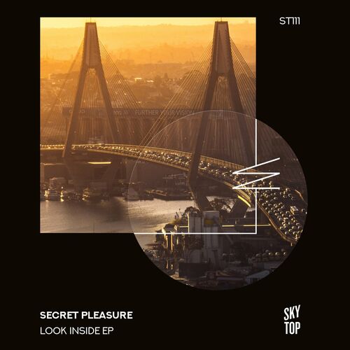 VA - Secret Pleasure - Look Inside (2022) (MP3)