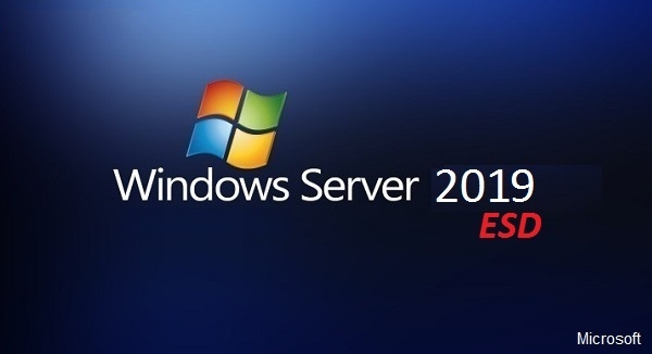 Windows Server 2019 Version 1809 Build 17763.2452 Standard en-US January 2022 