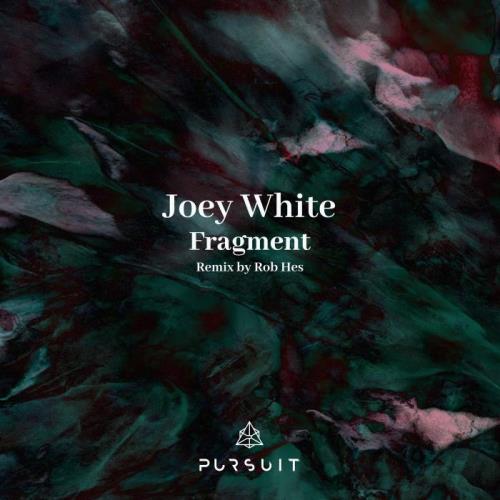 VA - Joey White - Fragment (2022) (MP3)