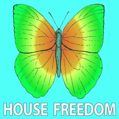 VA - House Freedom - Reboot (2022) (MP3)