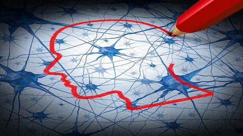 Udemy - Neuroscience for Leaders and Managers