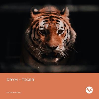 VA - DRYM - Tiger (2022) (MP3)