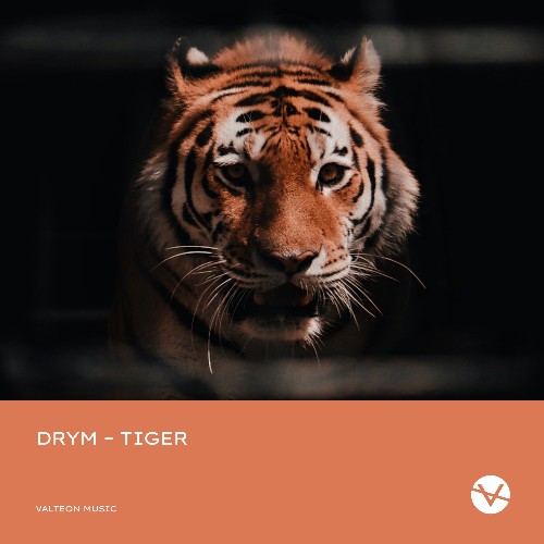 VA | DRYM - Tiger (2022) MP3