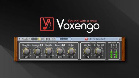 Voxengo Plug-ins & Tools Bundle 2022.1 (x64)