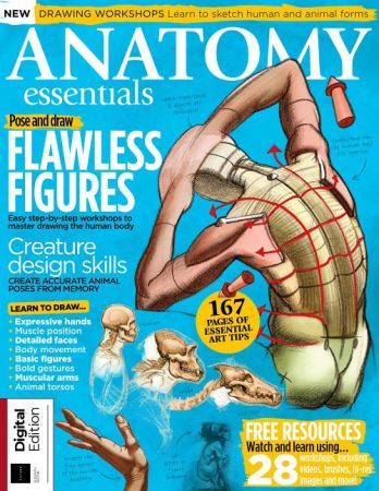 Anatomy Essentials - 11th Edition 2021