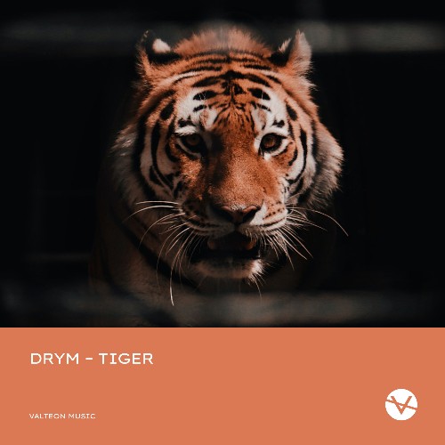 VA - DRYM - Tiger (2022) (MP3)