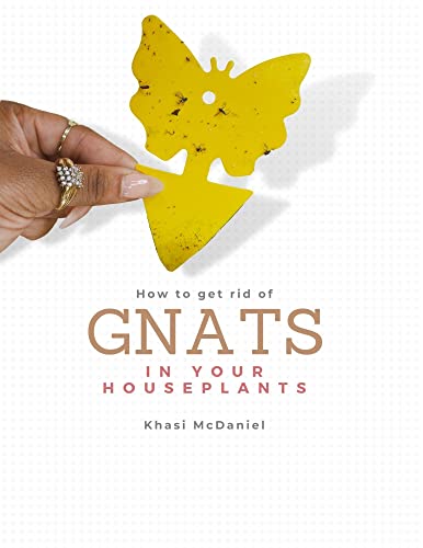 11 Ways to get rid of gnats in your houseplants Sure ways to prevent fungus gnats