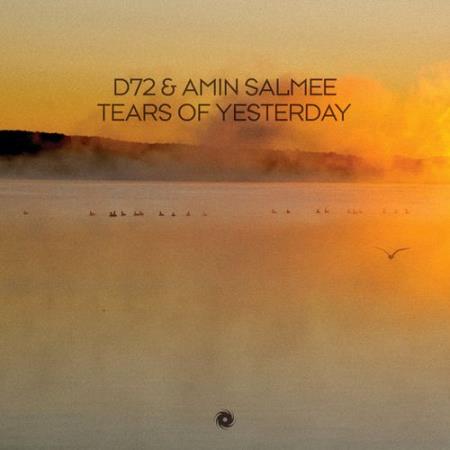 Сборник D72 & Amin Salmee - Tears of Yesterday (2022)