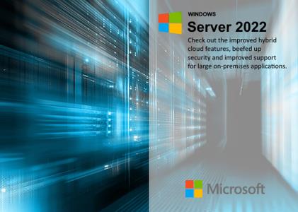 Windows Server 2022 LTSC, Version 21H2 Build 20348.469 (x64)