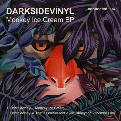 VA - Darksidevinyl - Monkey Ice Cream EP (2022) (MP3)