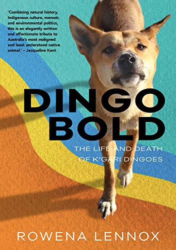 Dingo Bold The Life and Death of K'gari Dingoes (Animal Publics)