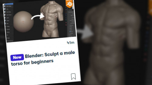 Skillshare - Blender Sculpt a male torso for beginners