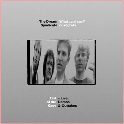 The Dream Syndicate   What Can I Say No Regrets Out of the Grey + Live, Demos & Outtakes (Del...