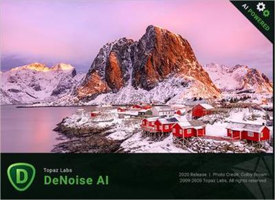 Topaz DeNoise AI 3.5.0 (x64) Portable