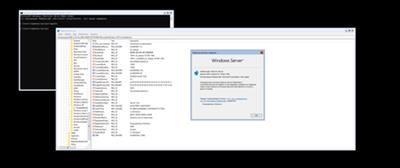 Windows Server, version 20H2 Build 19042.1466