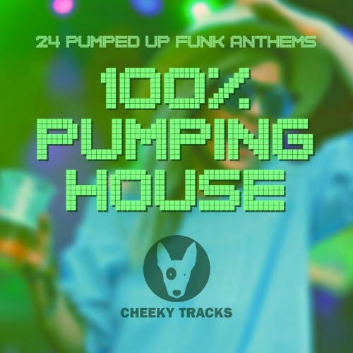 VA - 100% Pumping House (2022) (MP3)