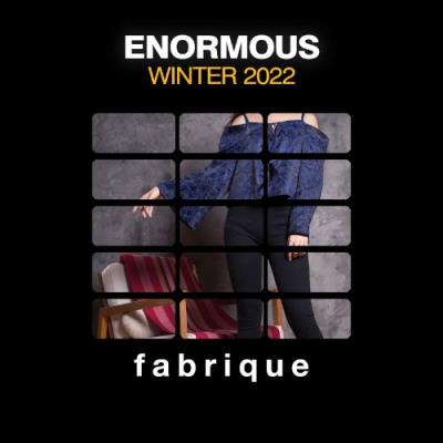 VA - Fabrique Recordings - Enormous Winter 2022 (2022) (MP3)