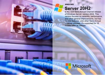 Windows Server, version 20H2 Build 19042.1466