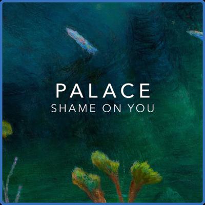 Palace   Shame On You (2022)
