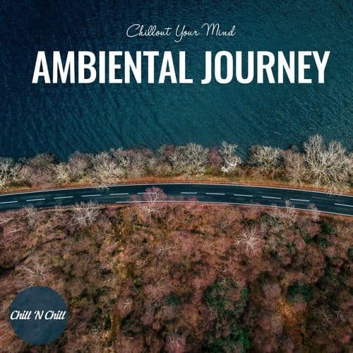 Сборник Ambiental Journey Chillout Your Mind (2022) FLAC