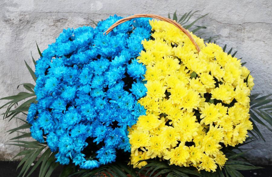 Вісті з Полтави - У Полтаві покладанням квітів до пам’ятника Шевченку відзначили День Соборності