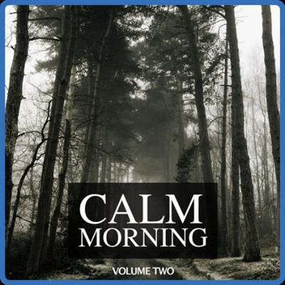 VA   Calm Morning, Vol 2 (2022)
