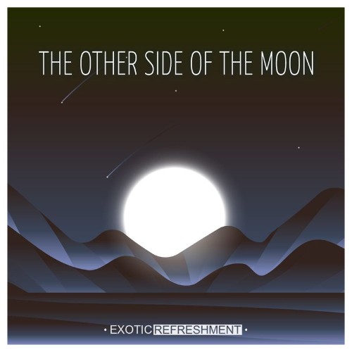 VA - The Other Side Of The Moon (2022) (MP3)