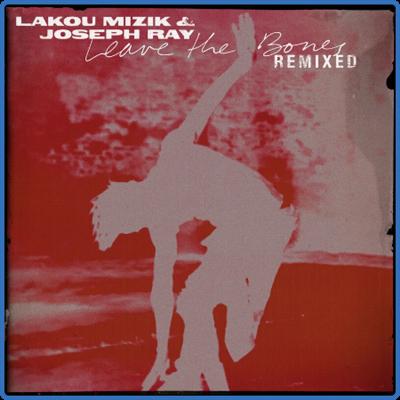 Lou Mizik   Leave the Bones (Remixed) (2022)