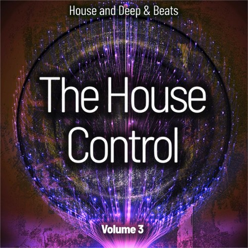 VA - The House Control, Vol. 3 (House and Deep & Beats) (2022) (MP3)