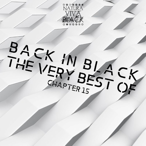 Back in Black! (The Very Best Of) Chapter 15 (2022)