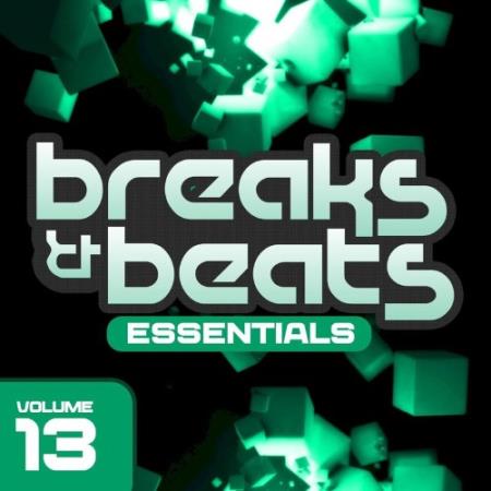 Сборник Sensational Breaks & Beats, Vol. 13 (2022)