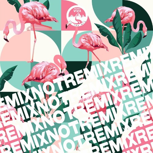 VA - Remix Not Remix (2022) (MP3)
