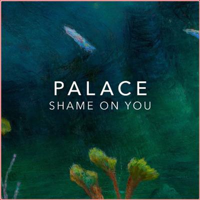 Palace   Shame On You (2022) Mp3 320kbps