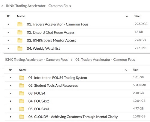 Cameron Fous - The 90 Day IKNK Trading Accelerator
