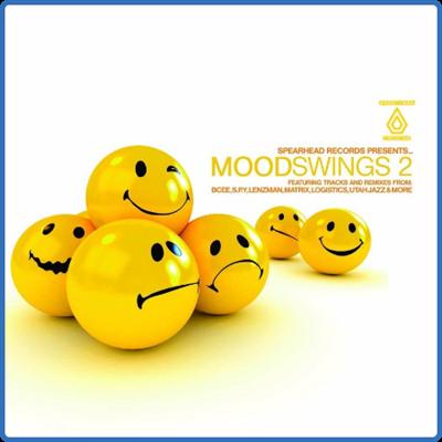 VA   Moodswings 2 (2009) MP3