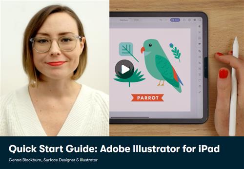 SkillShare – Quick Start Guide Adobe Illustrator for iPad