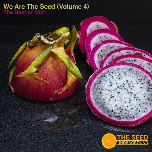 We are the Seed Volume 4 The Best of 2021 (2022)