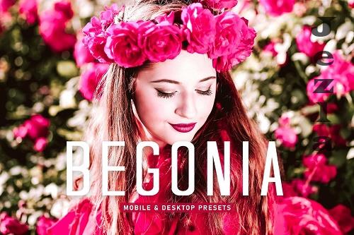 Begonia Pro Lightroom Presets - 6896085