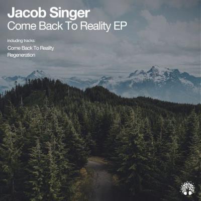 VA - Jacob Singer - Come Back to Reality (2022) (MP3)