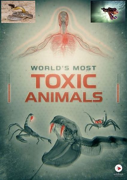 Самые ядовитые животные мира / World's Most Toxic Animals (2021) HDTVRip 720p