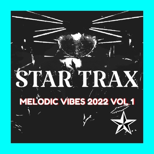 Melodic Vibes 2022 Vol 1 (2022)
